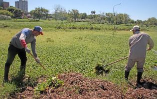 El agua también tiene memoria: una mirada sobre las lagunas del Gran Resistencia
