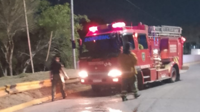 Un incendio de pastizales movilizó a bomberos en avenida de los Inmigrantes