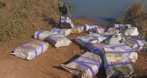 Gendarmes hallaron 800 kilos de marihuana ocultos a la vera del Paraná