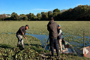 Se consolida el plan que busca preservar las lagunas de Resistencia