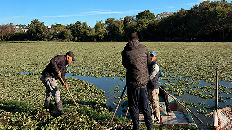 Se consolida el plan que busca preservar las lagunas de Resistencia