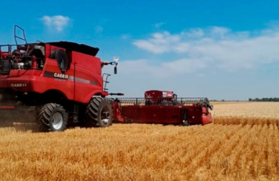 El Chaco picó en punta con la cosecha de los primeros lotes de trigo del país