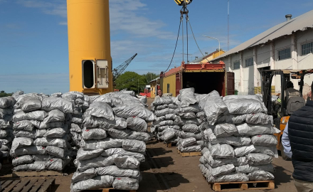 Nueva exportación de carbón vegetal a Estados Unidos