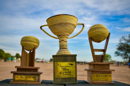 Copa_Gildo_Insfrán1