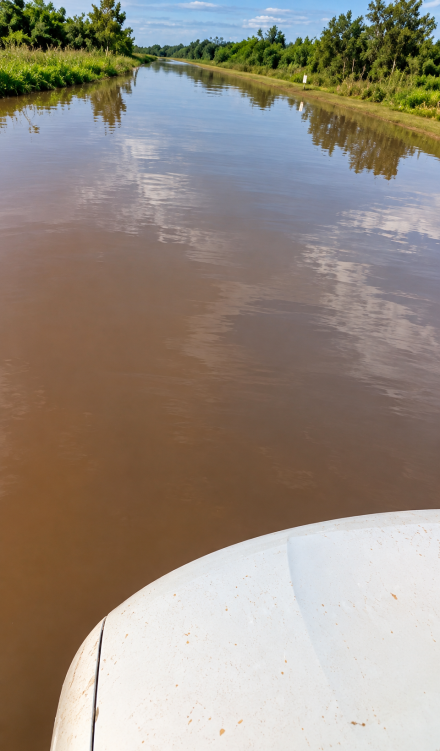 Canal inundado entre vegetación verde