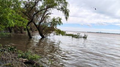 Isla del Cerrito quedó aislada por la creciente y unas 100 familias están afectadas