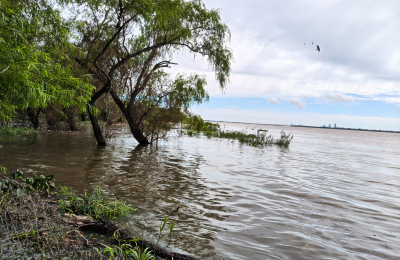 Isla del Cerrito quedó aislada por la creciente y unas 100 familias están afectadas