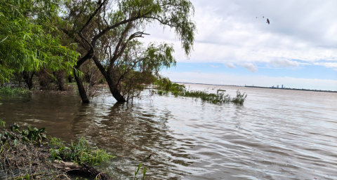 Isla del Cerrito quedó aislada por la creciente y unas 100 familias están afectadas