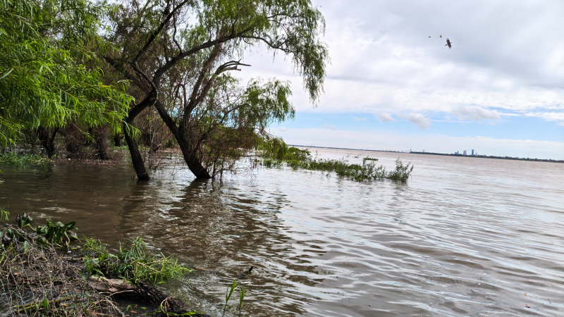 Isla del Cerrito quedó aislada por la creciente y unas 100 familias están afectadas