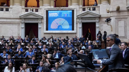 Diputados