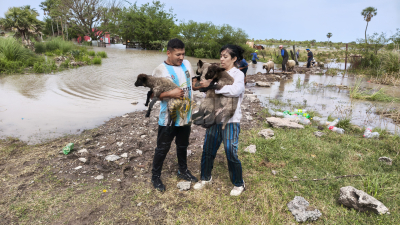 La Fundación Planeta Vivo llegó al Chaco y convoca a voluntarios para la asistencia de animales