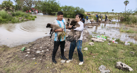 La Fundación Planeta Vivo llegó al Chaco y convoca a voluntarios para la asistencia de animales