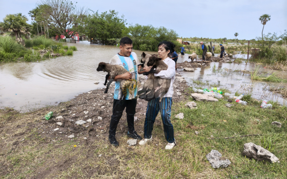 La Fundación Planeta Vivo llegó al Chaco y convoca a voluntarios para la asistencia de animales