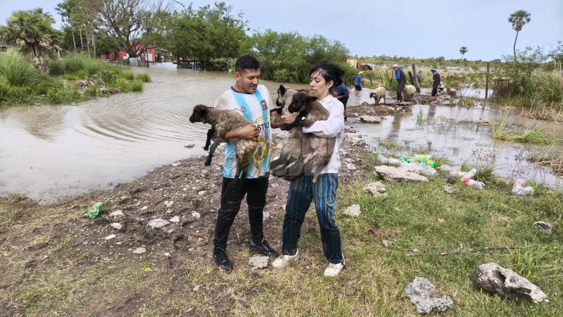 La Fundación Planeta Vivo llegó al Chaco y convoca a voluntarios para la asistencia de animales