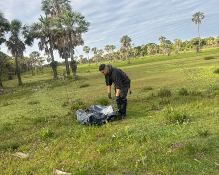 cuerpo1 copy