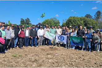 Productores de Laguna Naineck y Riacho He Hé fueron capacitados por el CEDEVA en la implantación del mango