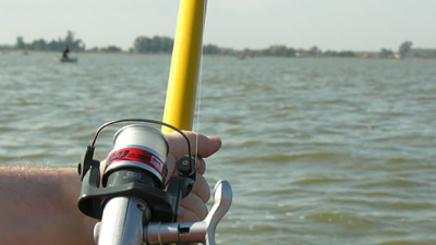 Establecen cupos de exportación para la pesca comercial en los ríos de la Plata, Uruguay y Paraná