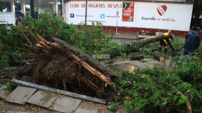 Fuertes vientos causaron destrozos