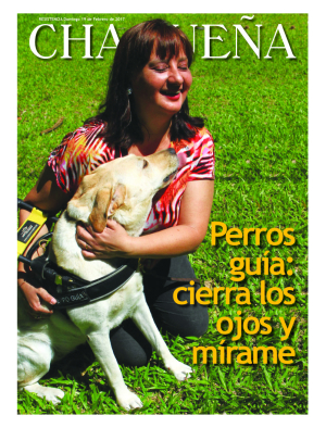 Perros guía: cierra los ojos y mírame
