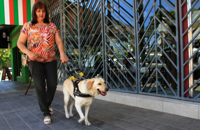 Perros guías: Los ojos de los que no ven