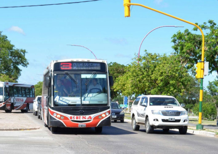 linea3.jpg