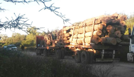 53-CAMIONES-DE-MADERA1.jpg