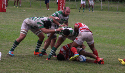 rugby3.jpg