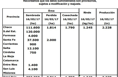 Cosecha algodonera en el Chaco: rindes y calidades son mejores que lo esperado