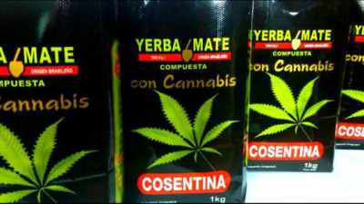 Lanzan en Uruguay una yerba con cannabis