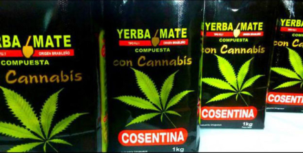 yerba_2.jpg