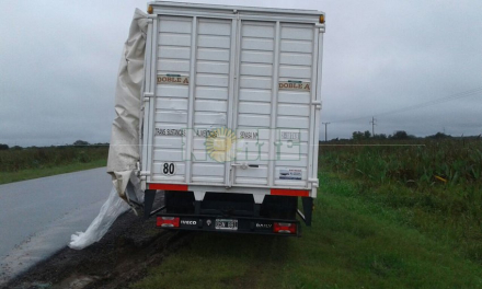 camion01.jpg