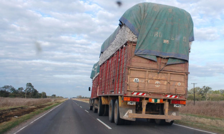 CAMION-CON-ALGODON-EN-BRUTO.jpg