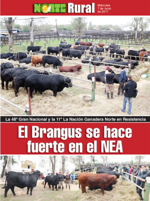 El Brangus se hace fuerte en el NEA
