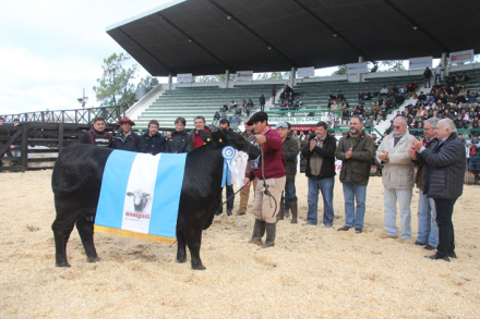 NACION-GANADERA9.jpg