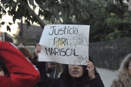 Cartel Mariscal 4.jpg