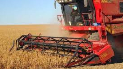 Soja: el Chaco concluye una gran campaña con baja calidad de granos sobre el cierre de la cosecha