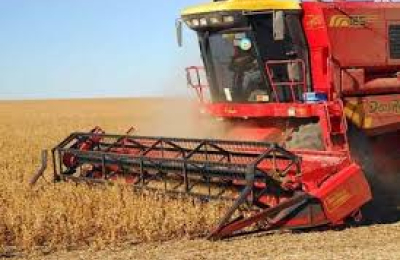 Soja: el Chaco concluye una gran campaña con baja calidad de granos sobre el cierre de la cosecha