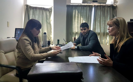 IRENE DUMRAUF- DENUNCIA FIA.jpg