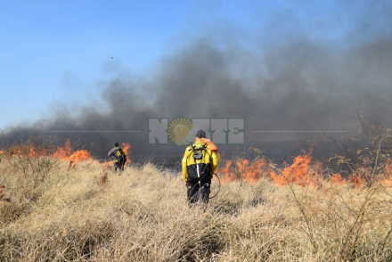 incendio3.jpg