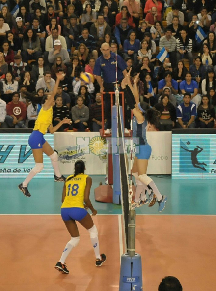 panteras4.jpg