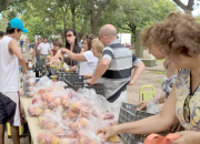 camion de frutas.jpg