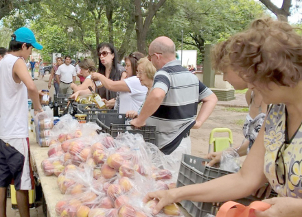 camion de frutas.jpg