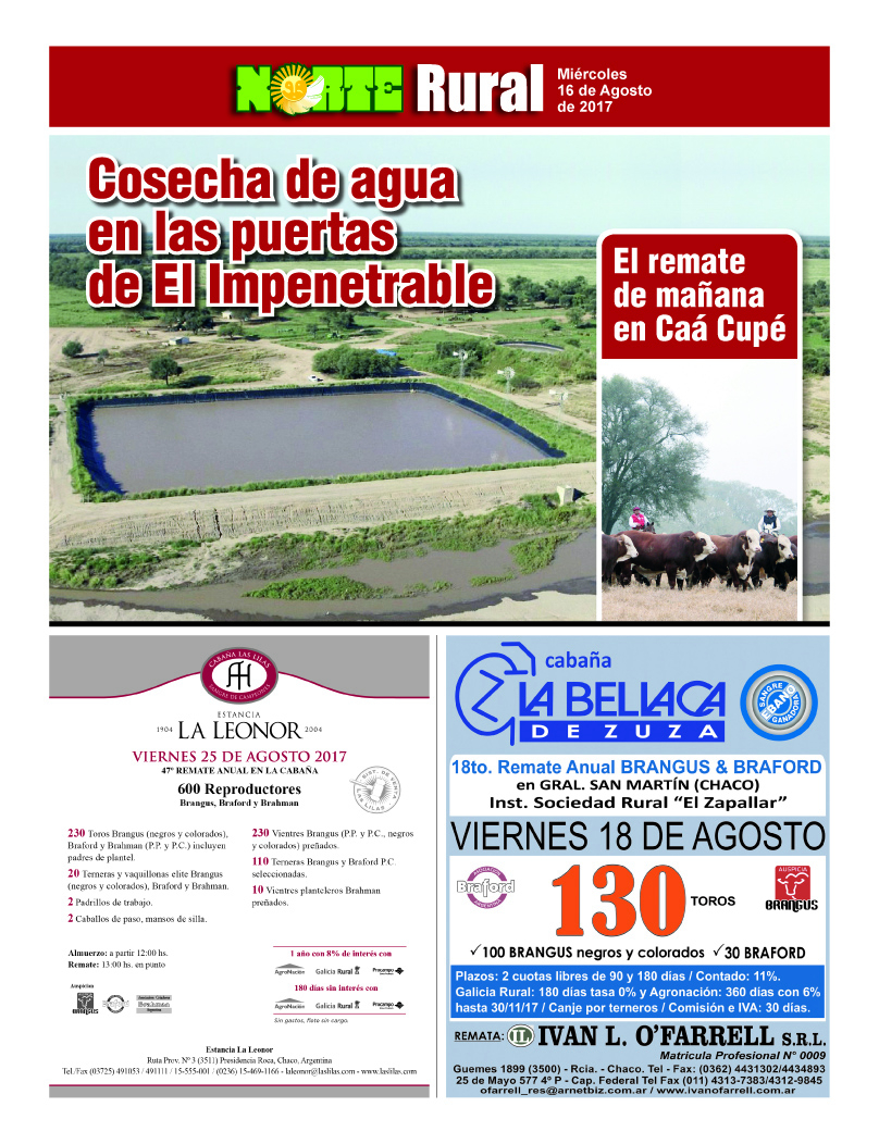 Cosecha de agua en las puertas de El Impenetrable