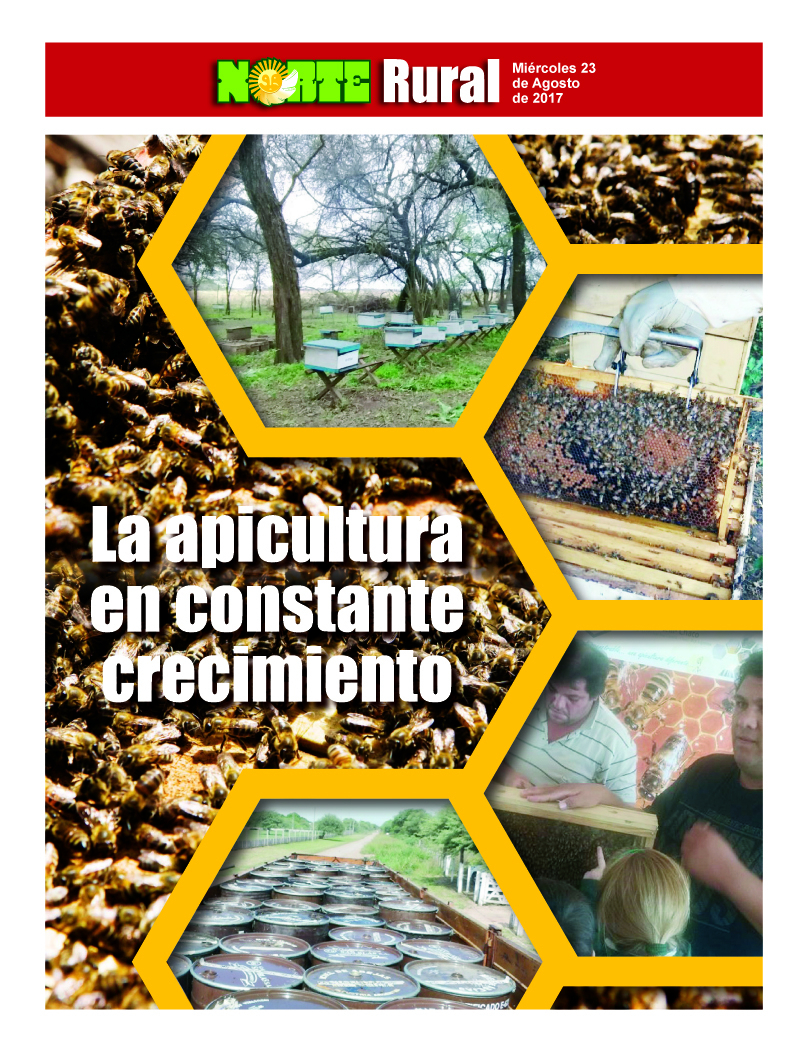 La apicultura en constante crecimiento
