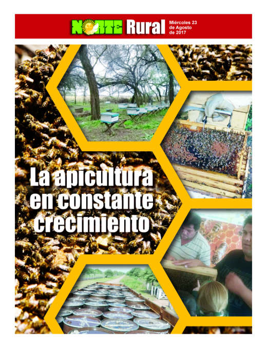 La apicultura en constante crecimiento