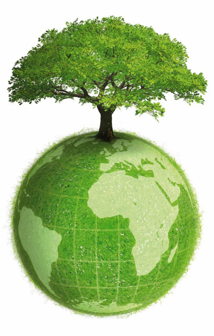 arbol.jpg