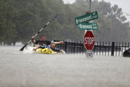 harvey2.jpg