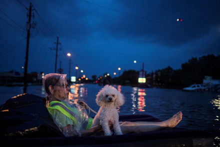 harvey95.jpg