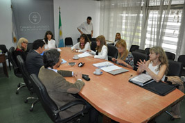 diputados comision.jpg