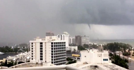 florida.jpg